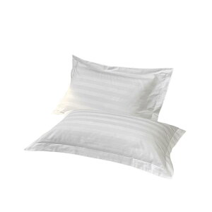 Jo[ Rbg zedl   n 40×40cm  XgCv