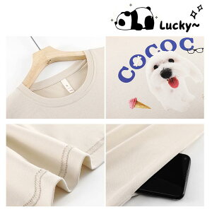 s[X fB[X wl t  G _[Rbg  ڐG⊴ Lk [EFA   킢 bNX  LTCY ǐF sNn O[n