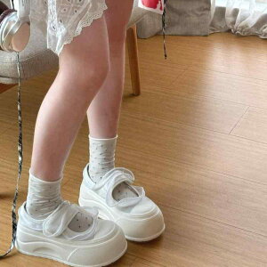 Xj[J[ fB[X }[WF[  wlC EhgD JWA V[Y LoX zF t H~  