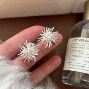 CO fB[X Vo[ S[h J[ p ^|| ԕ Wp[ ^ sAX C[Jt ɂȂ  Nbv dCbLH 􉽊w C~e[Vp[