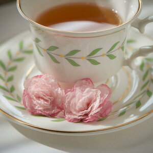 CO fB[X ԕ  dCbLH t 킢 ^ C[Jt alternative ANZT[ p K[[ L[g