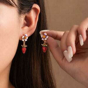 sAX fB[X 킢 C`S ԕ hbv dCbLH  t[c`[t ߂ tF~j ԐFn