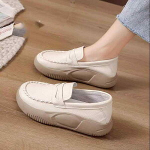 C fB[X  i[XV[Y _炩 ɂ LC΍ ʋC ~ Dw wlC ʋ t