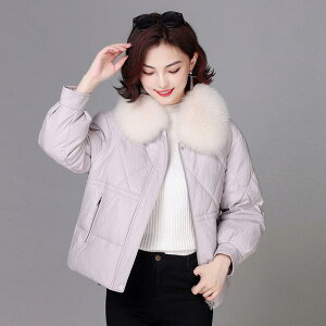 _EWPbg fB[X }} AE^[ {v rv V[g t[ht ~ h  ʋ JWA  ubN x[W sNn