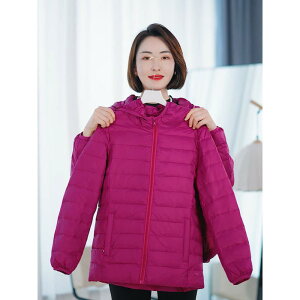 _EWPbg fB[X  y t[ht V[g  H ~   ʋ ig X ̓ hV̓ v[g