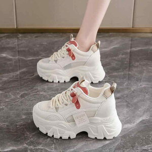 Xj[J[ fB[X DwC H~ U[ 炩 NbV  x[W ؂ [Jbg ₷ ₷ ~