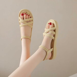 T_ fB[X [}T_ tbg ؂ Dw r[`T_  킢 ₷ ₷ s o x[W CG[