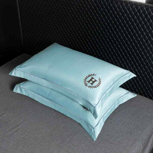 Jo[ yA ڐG⊴ ėp  48×74cm |GXe h? u[ n Vv