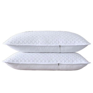 Jo[ |@ pbh u 􂦂 veN^[ ʋC |GXe F 40x 1 2