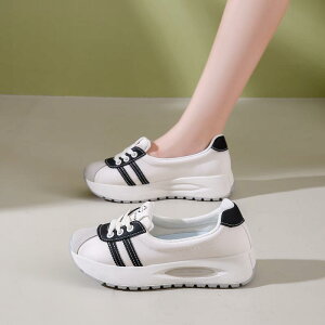 Xj[J[ fB[X  [Jbg wlC ₷ ₷ y _炩 PUU[ NbV ~ ig s 헚 JWA ăbh