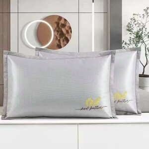 Jo[ t ڐG⊴ 􂦂  ⊴Jo[ lp ƒp ԕ H` 킢