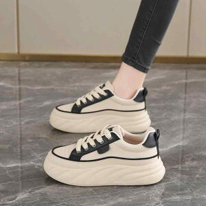 V[Y fB[X Xj[J[ H~ 96cm 5cm _炩 C ^C JWA [Jbg tbg\[ RC ₷ ɂ F u[ ԐF bh F ubN x[W