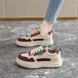 V[Y fB[X Xj[J[ H~ wlC ^C [Jbg EhgD @ RC Ռz ~ߕt i   