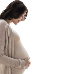 C fB[X wlC  Xj[J[ nCJbg  NbV ₷ ₷ ~ ~  h EhgD JWA 킢 Vv n x[W ub