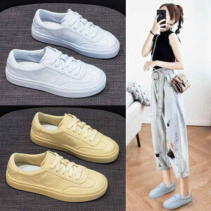 Xj[J[ fB[X t [Jbg {v RC _炩 ؂ tbg\[ ₷ ɂ ~ JWA wlC EhgD U[ F F ItzCg