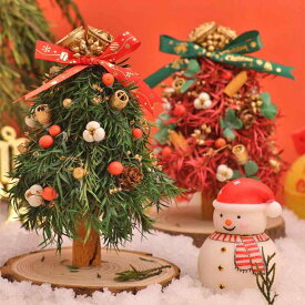 クリスマス クリスマスツリー DIY 手作り キット 天然 ドライフルーツ 枝 デコレーション 卓上 飾り付け ギフト