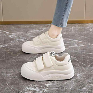 V[Y fB[X Xj[J[ [Jbg RC   x[W ₷ ₷ ɂ wlC PUU[ tbg ؂񂱌C EhgD JWA  ig s 