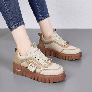 Xj[J[ fB[X  ^C wlC ₷ ɂ DwC 傫TCY x[W ubN XJ t