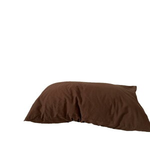 Jo[ Pi Rbg 100 XgCv 48×74cm CG[ u[ O[ ubN uE sN p[v Aj} ԕ 킢 P[X