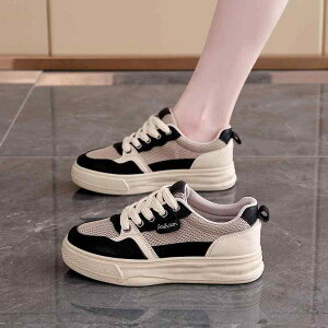 Xj[J[ fB[X wlC ^C JWAV[Y [Jbg y RC Ռz ~ ubN bh t