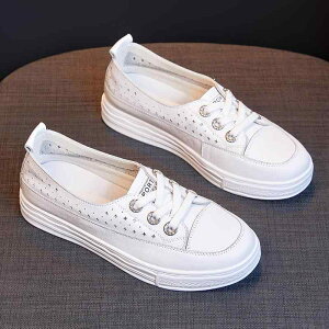 Xj[J[ fB[X {v U[ tbg\[ ؂ [Jbg  n EhgD _炩 ₷ ₷ wlC JWA ig ʋC tďH~