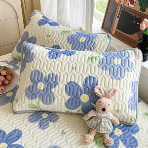 Jo[ yA ƒp 48cmX74cm q Jo[ cJo[ Đ@ ԕ EHbVu