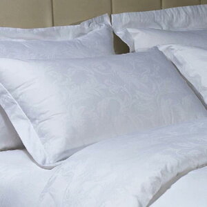 Jo[ zedl Rbg100 60TeXgCv 58 88 zCg  Q