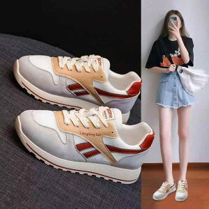 jOV[Y fB[X ^C Xj[J[ y ʋC X|[c JWA ig [Jbg tbg\[ ؂񂱌C u[ uE