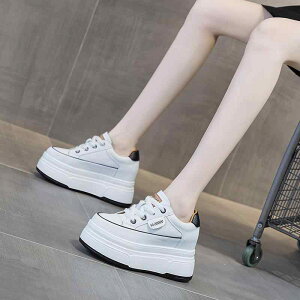 C fB[X  Xj[J[ JWA V[Y  C r gAbv 9cm 8cm [Jbg Cq[ y K ₷ X|[c ^ ʋ ig ʊw 킢 PU U[ v 