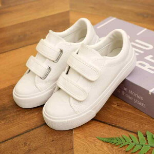 LbY ̎q V[Y qC XN[V[Y oGV[Y LoX Xj[J[ ct w ʊw ^C ̈ Kp F ԐF F S t H ϖՐ z 7 8 9