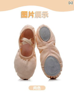 _XV[Y fB[X q L oGV[Y  ̑ K F sN    y LoX _ ~