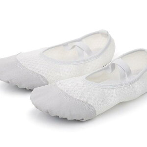 _XV[Y LbY q oGV[Y  ʋC bV y t Kp K X|[c ^ ̎q j̎q