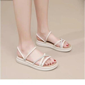 T_ fB[X tbg  r[` T_ ꎚ xg 2way ؂ wlC PUU[ JWA ItzCg ubN