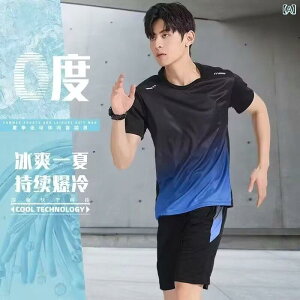 X|[cEFA Y ZbgAbv ㉺Zbg  TVc n[tpc 5pc ^ 싅 EFA  [EFA jp  |GXe z t u[ bh O