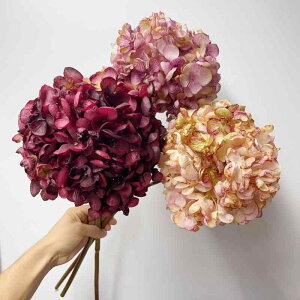  AWTC EFfBO u[P  CeA Be IW sN u[ bh Vp p[v zCg