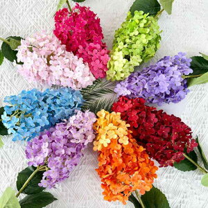  AWTC CeA   sN    o 뉀 AW(x2)