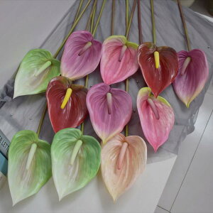  ω@ AXE EFfBO u[P CeA ʐ^Be  3Dv^[ ^ A^b`  sN 