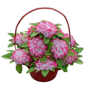    e e  d Q  ފ ~ ފ݉  @v @  {  O  AWg ͂Ȃ qI sv ^ѕ֗ bh sN 