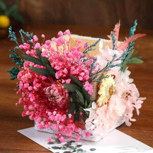 y DIY  Lbg R ؐ ԍ F sNn bh CG[ p[v IW O[ u[ zCg 7 8 9 10 11 12 13 14