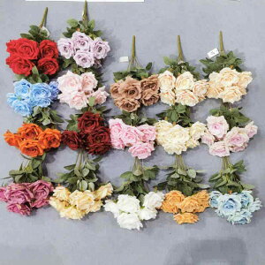 ԑ 7{ щH ͑o u[P INS EFfBO z U/ g o R[q[F  VpsN sN  IW sN  Cbh  V