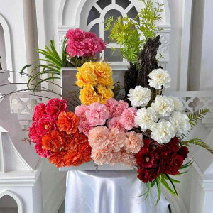  J[l[V A[gt[ VNt[ CeA EFfBO p[eB[ ze   sN  F IW u[