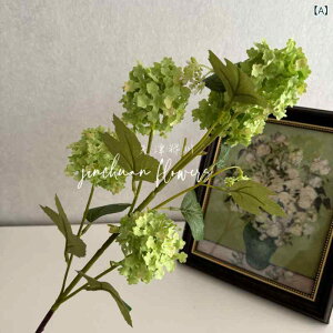  5 ዅ AWTC CeA fR[V t[ EFfBO ze fBXvC z[ fR[V VNt[