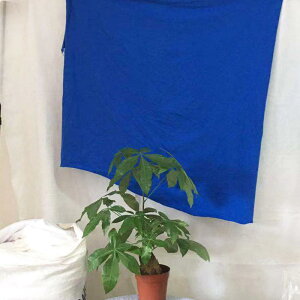 G S z  HƗp @ 40`80cm Ƌ ܋ @B ݔ H