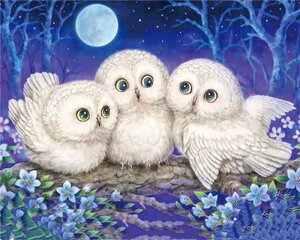 _ChA[g L   _ChhJ DIY  Lbg CXg[ r[Y _ rO xbh[