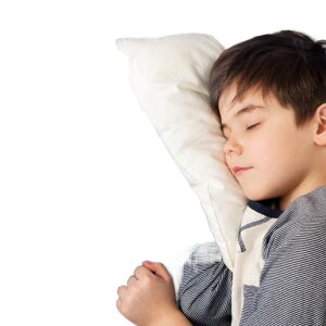 uv qp j̎q ̎q m A[ Xk[Y@\ Cgt 剹 ABSf V ۍg D