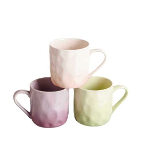 }OJbv fB[X  z[ fUC  yA H R[q[