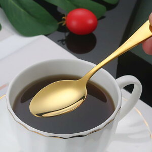 Jg[Zbg XeX iCt tH[N Xv[ fBi[Zbg Xe[L fU[g Vo[ S[h _ 16_ 20_ 24_ 30_