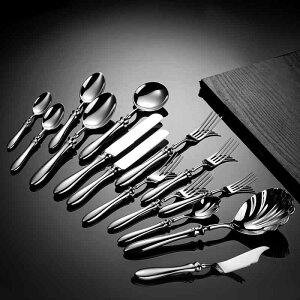 Jg[Zbg XeX H 304 i fBi[iCt fBi[tH[N fBi[Xv[ T[rOXv[ P[LT[o[ ~[dグ y v F