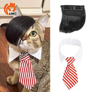 ybg EBbO ΂ߑO nEB  RXv Lp  킢  ANZT[ p[eB[ Cxg ʐ^Be