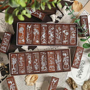 X^v ؐ q A ԕ  {^jJ 蒠 fR[V Be[W